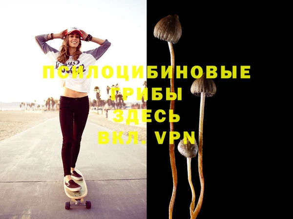 a pvp Белокуриха