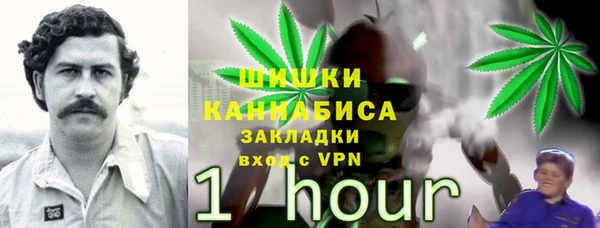 a pvp Белокуриха