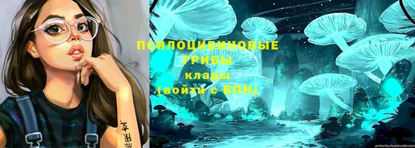 a pvp Белокуриха