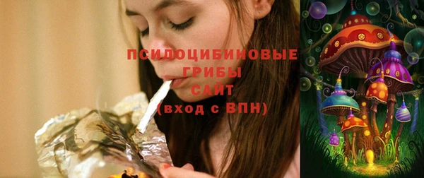 a pvp Белокуриха
