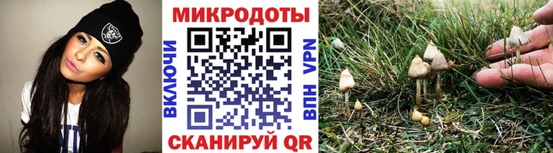 Псилоцибиновые грибы прущие грибы  Купить закладки  Жердевка 